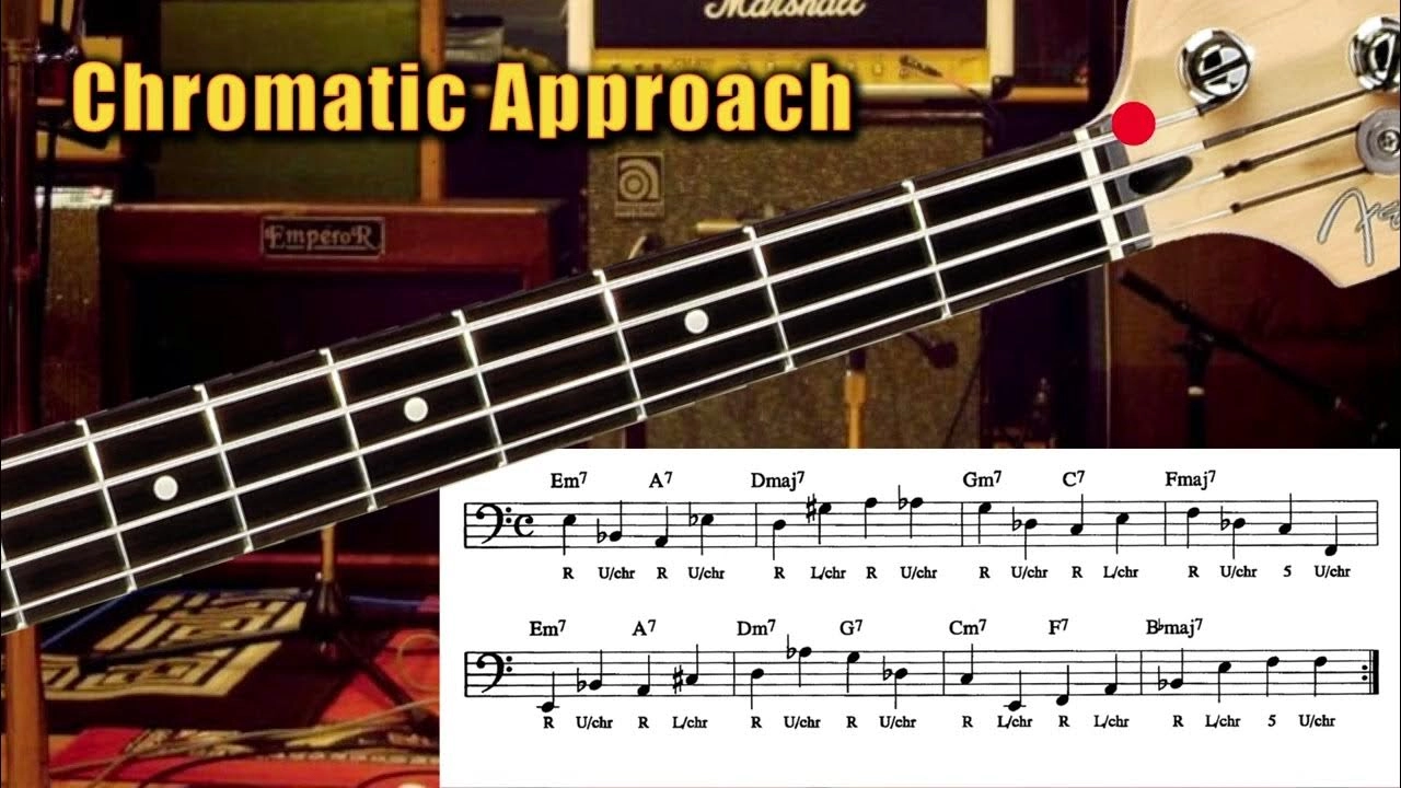 cach-danh-bass-guitar