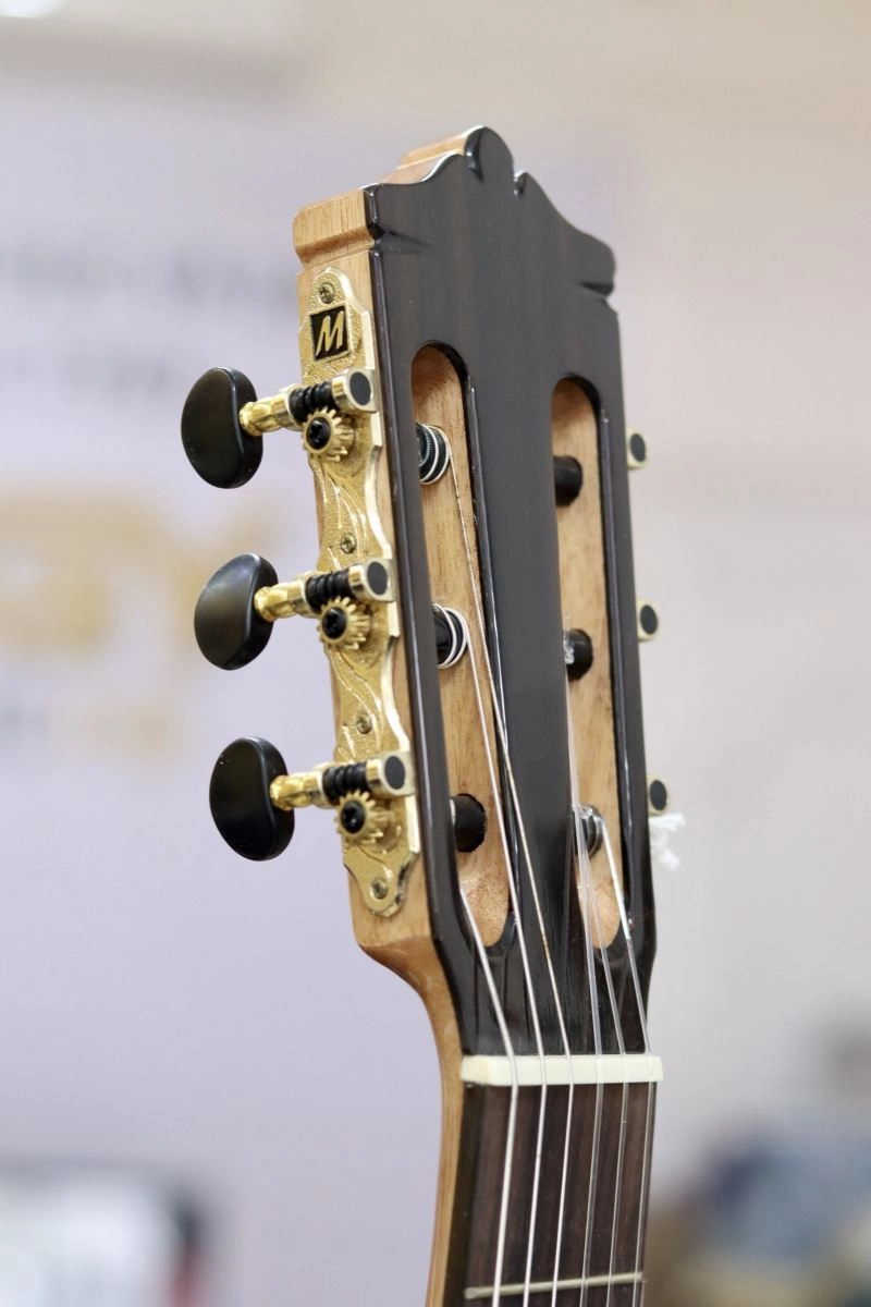 cấu tạo guitar điện