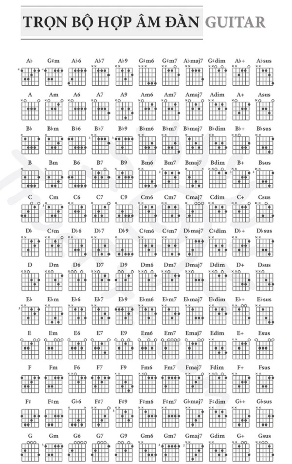 Bảng Hợp Âm Guitar Đầy Đủ: Tra Cứu Toàn Diện, Học Tập Hiệu Quả