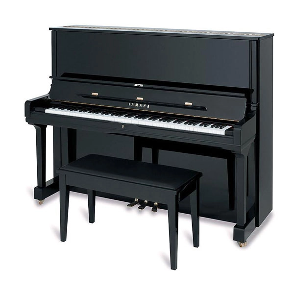 Các loại đàn piano: Hướng dẫn chọn mua chi tiết cho người mới và chuyên nghiệp