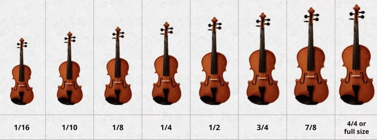 Các loại đàn Violin: Tổng quan về các loại Violin phổ biến nhất trên thị trường
