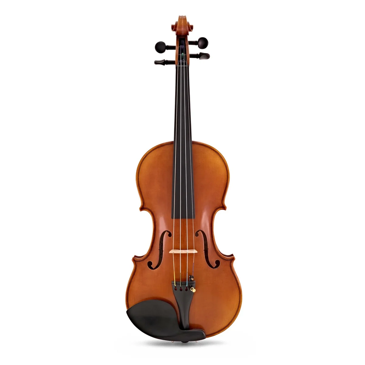 các loại đàn violin
