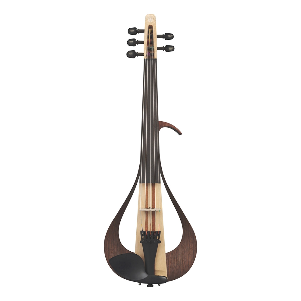 các loại đàn violin