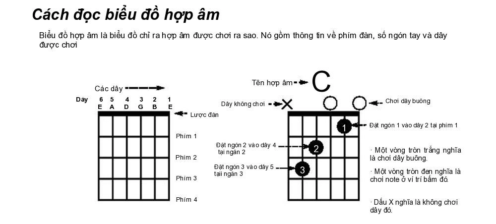 Cách đọc hợp âm guitar: Hướng dẫn chi tiết cho người mới bắt đầu