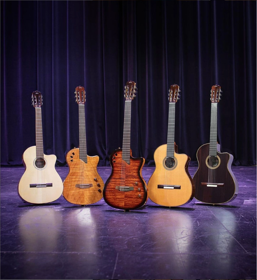 Đàn Guitar Cao Cấp: Đỉnh Cao Của Nghệ Thuật Chế Tác