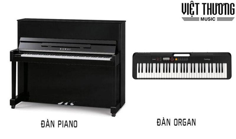 Đàn organ khác đàn piano như thế nào: So sánh chi tiết và dễ hiểu
