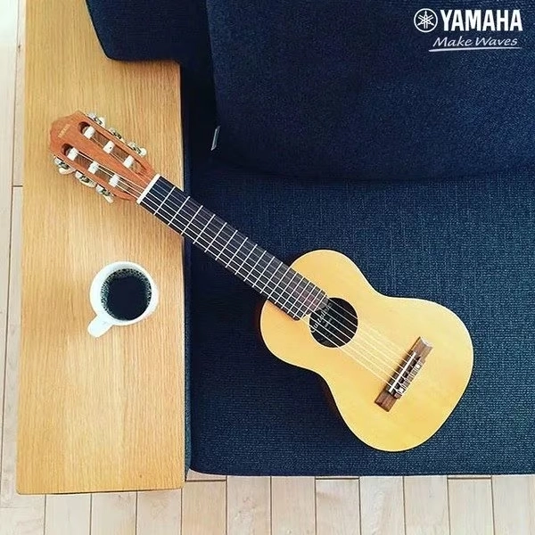 kich-thuoc-dan-guitar