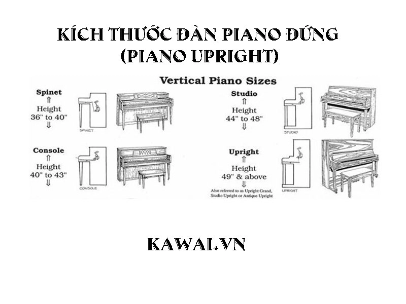 Kích Thước Đàn Piano: Hướng Dẫn Chọn Mua Phù Hợp Cho Mọi Không Gian