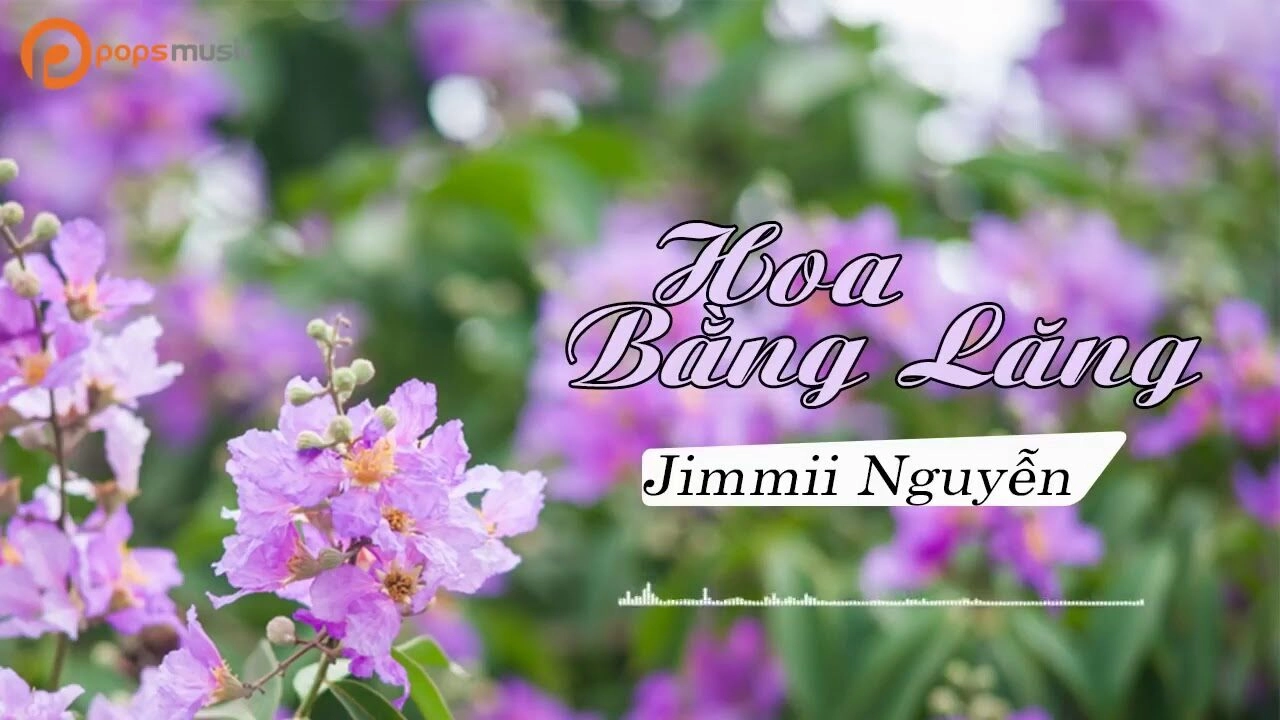 Lời bài hát Hoa Bằng Lăng - Jimmii Nguyễn