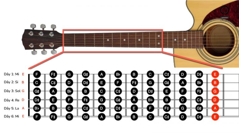 Nốt Guitar Cơ Bản: Nền Tảng Vững Chắc Cho Người Mới Bắt Đầu