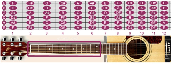 nốt guitar cơ bản