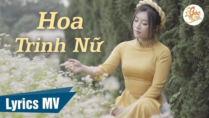 lời bài hát hoa trinh nữ