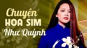 Chuyện Hoa Sim - Như Quỳnh | Lời bài hát, hợp âm, MV