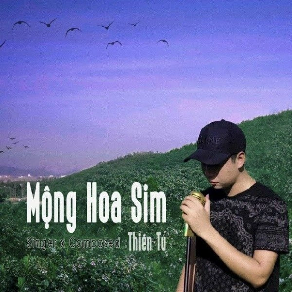 Mộng Hoa Sim - Thiên Tú | Lời bài hát, hợp âm, MV