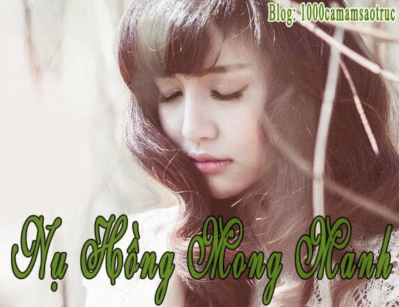 Nụ Hồng Mong Manh - Bích Phương | Lời bài hát, hợp âm, MV