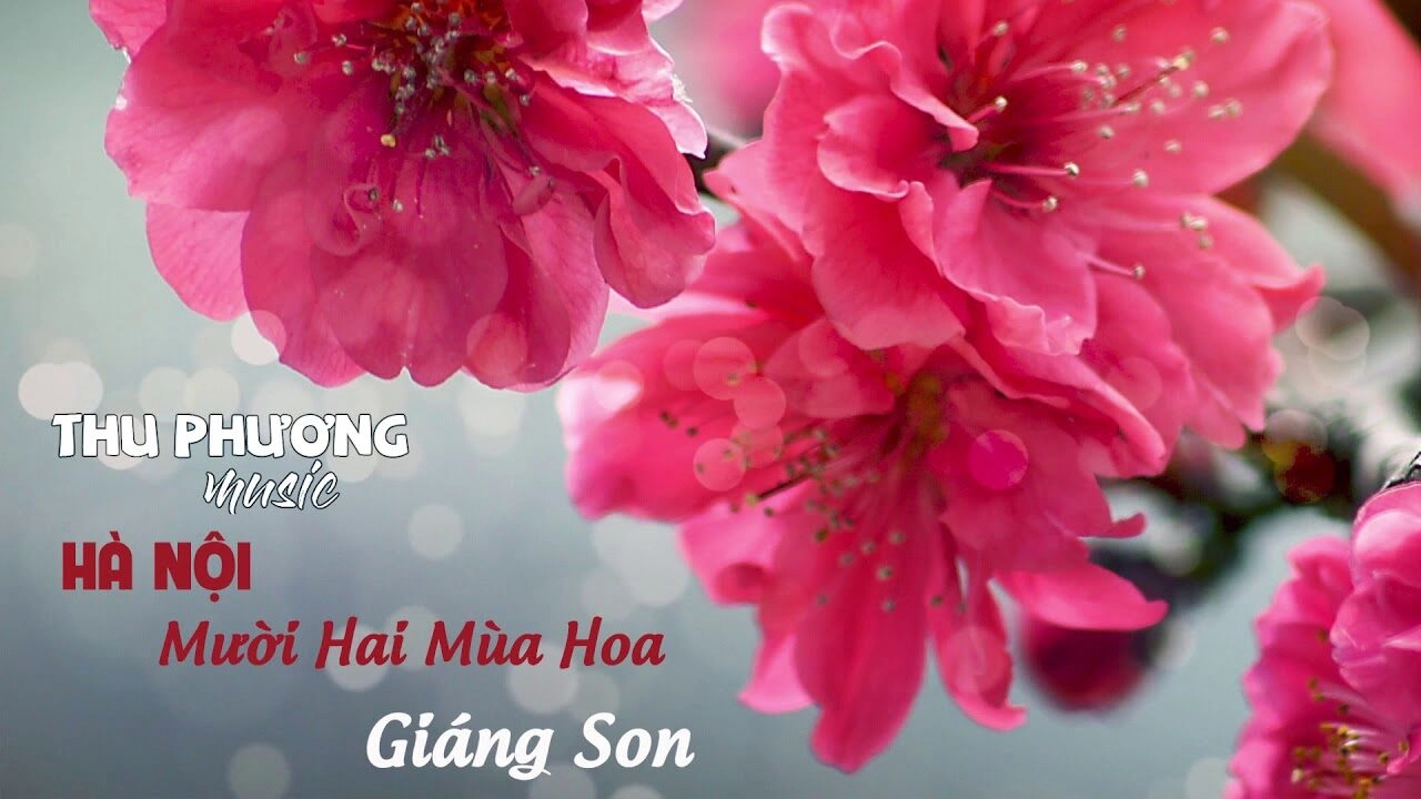 HÀ NỘI MƯỜI HAI MÙA HOA - THU PHƯƠNG | Lời bài hát, hợp âm, MV