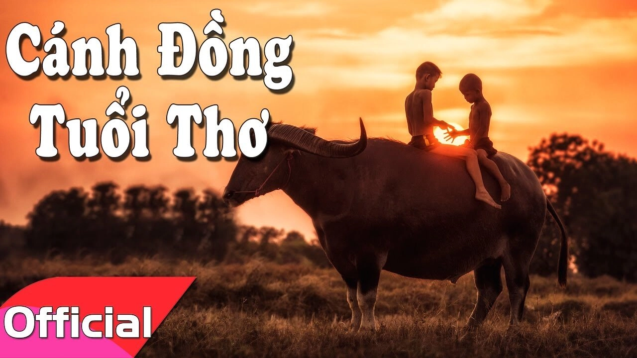 Cánh Đồng Tuổi Thơ​​ - Bé Nguyệt Hằng | Lời bài hát, hợp âm, MV