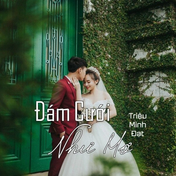 Đám Cưới Như Mơ​​ - Quang Linh | Lời bài hát, hợp âm, MV