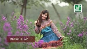Em Chọn Lối Này​​ - Lan Anh | Lời bài hát, hợp âm, MV
