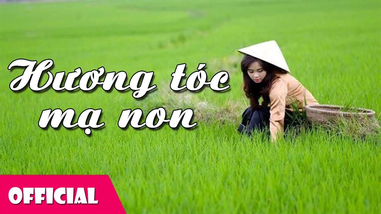 Hương Tóc Mạ Non​​ - Lưu Ánh Loan | Lời bài hát, hợp âm, MV