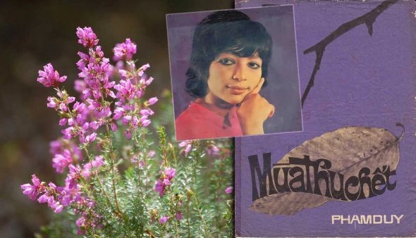 Mùa Thu Chết ​​ - Giang Hồng Ngọc | Lời bài hát, hợp âm, MV