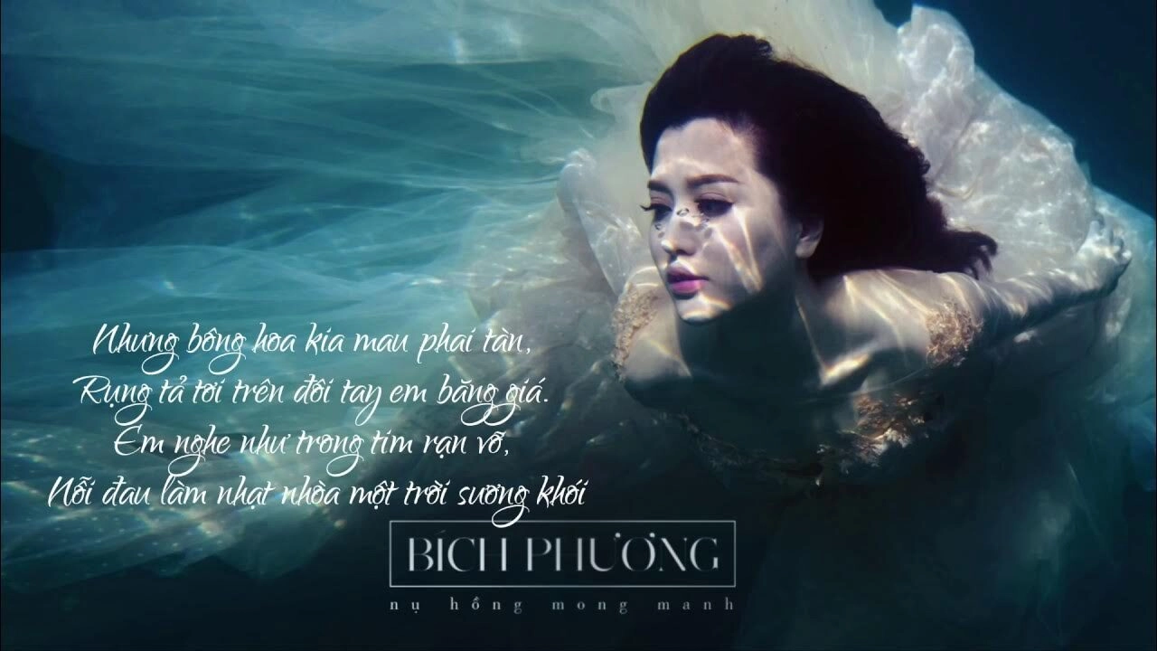 Nụ Hồng Mong Manh​​ - Bích Phương | Lời bài hát, hợp âm, MV