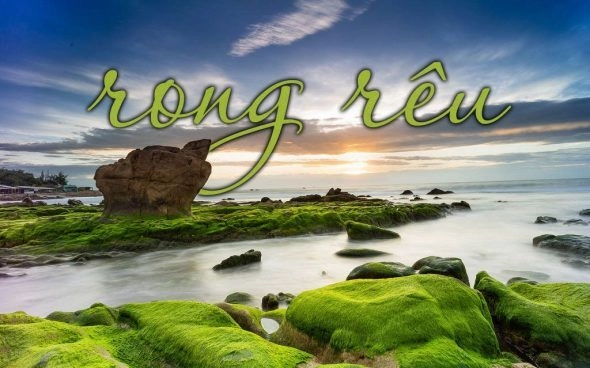 Rong Rêu​​ - Lưu Chí Vỹ, Dương Thái Bảo | Lời bài hát, hợp âm, MV