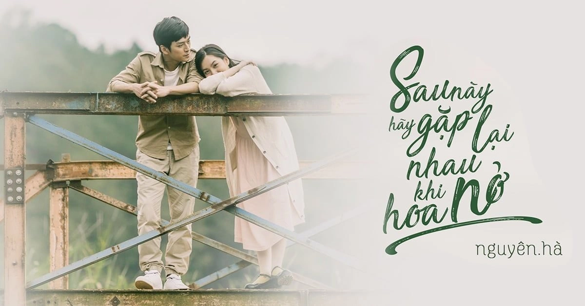 Sau Này, Hãy Gặp Lại Nhau Khi Hoa Nở​​ - Nguyên Hà | Lời bài hát, hợp âm, MV