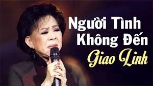 Người Tình Không Đến - Giao Linh | Lời bài hát, hợp âm, MV